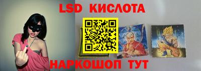 крисы Пенза