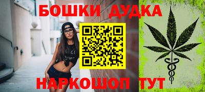 крисы Пенза