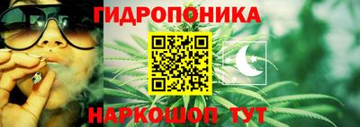 ПСИЛОЦИБИНОВЫЕ ГРИБЫ Пугачёв