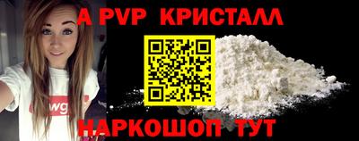 крисы Пенза