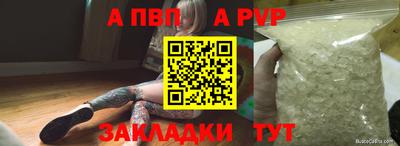крисы Пенза