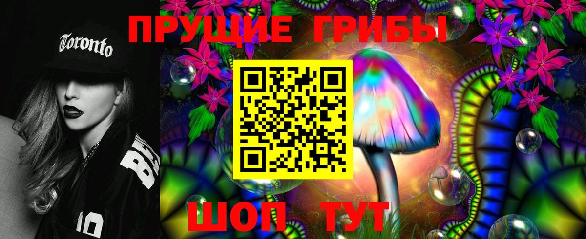 Псилоцибиновые грибы прущие грибы  Вход с VPN  Псилоцибиновые грибы MAGIC MUSHROOMS  Сосновоборск 