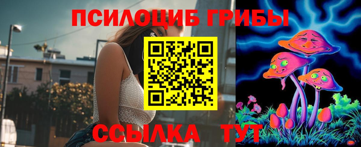 Псилоцибиновые грибы Cubensis Сосновоборск